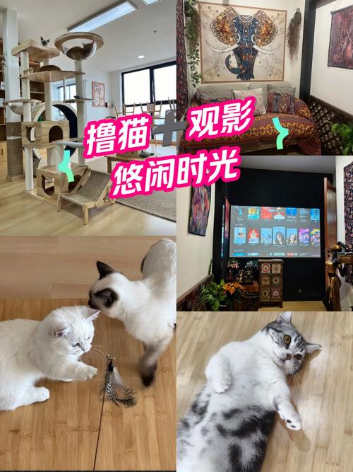 北京影院观影指南 | 2025年热门影片推荐 | 北京IMAX激光厅打卡攻略