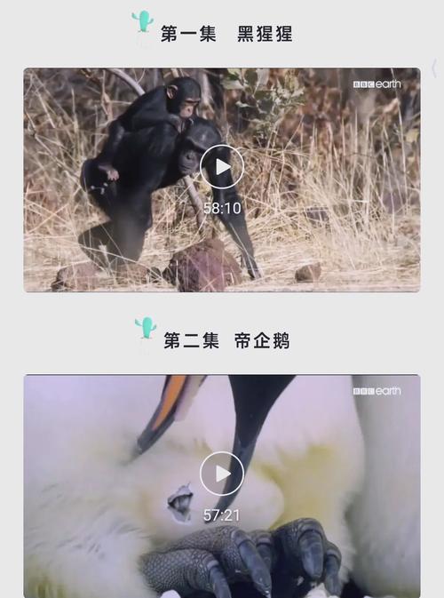 王朝影院在线观看最新热门电影电视剧，高清画质畅享追剧体验