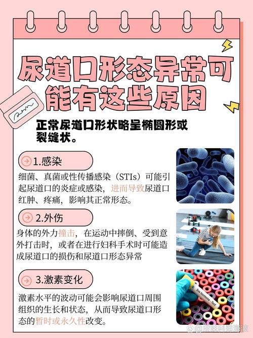 男人天堂网久久的相关介绍
