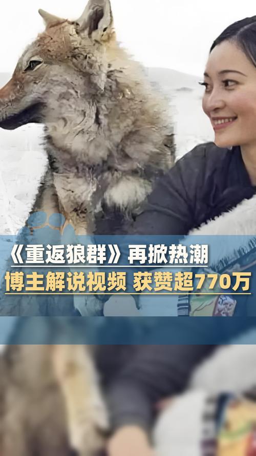 5D影院沉浸式体验 | 动感座椅特效、亲子互动游乐、私人定制包场