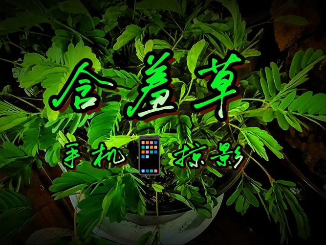 根据yy4480高清影院，推荐SEO标题：**yy4480高清影院在线观看 - 最新热门电影电视剧免费追剧平台**  
（长尾关键词：高清影院在线观看、免费追剧平台、最新电影电视剧）