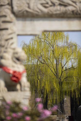 久久久久久精品一区的相关介绍