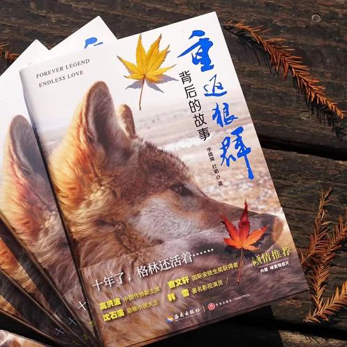 新视影院在线观影指南：最新高清电影免费观看与热门剧集推荐