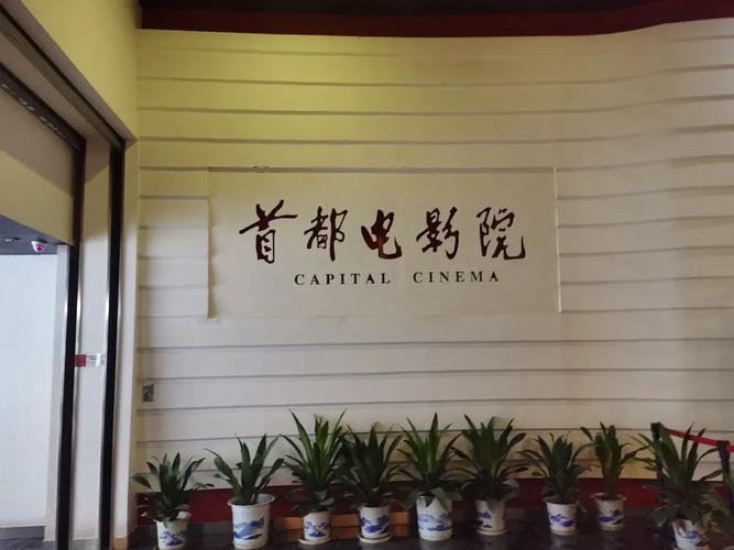 天伦影院在线观看 - 免费高清影视平台 支持在线追剧 无广告弹窗体验